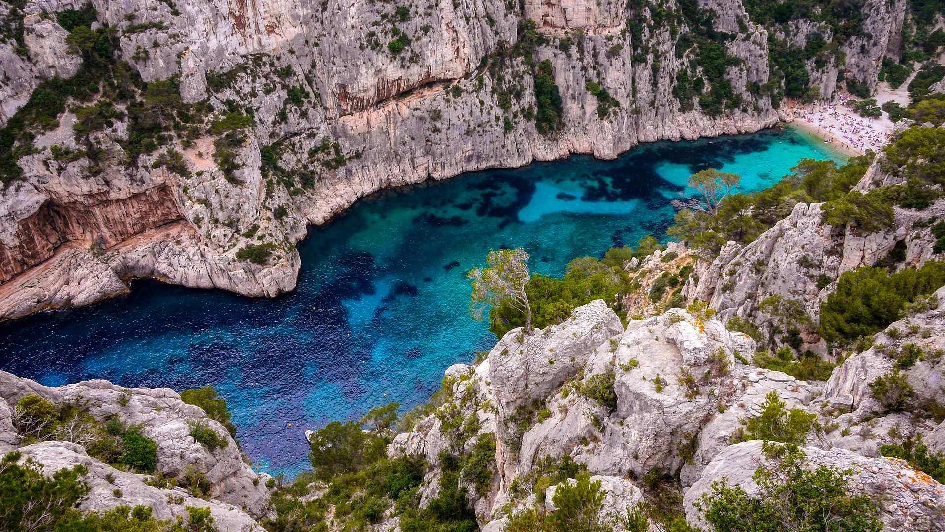 Marseille calanque en veau